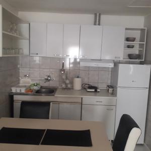 Kuchyň nebo kuchyňský kout v ubytování Apartmani Nis