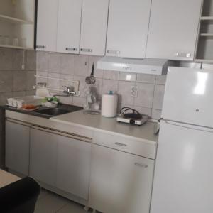 Kuchyň nebo kuchyňský kout v ubytování Apartmani Nis