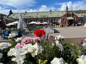 a group of flowers in front of a building at Sweet home 40 City Center Punavuori in Helsinki