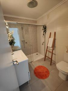 a bathroom with a shower and a toilet and a sink at La Casuca De Mabel in Revilla de Camargo