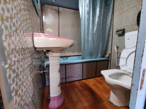 La salle de bains est pourvue d'un lavabo rose et de toilettes. dans l'établissement HB king of kings, à Srinagar