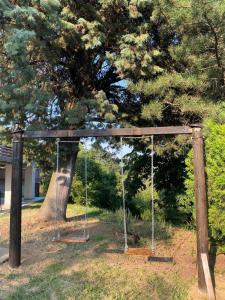 eine Schaukel in einem Park unter einem Baum in der Unterkunft Miličin konak in Vrdnik