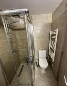 a small bathroom with a toilet and a shower at Golden Lux Apartments in Skopje