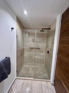 y baño con ducha y puerta de cristal. en Departamento Polanco Agora 10 en San Luis Potosí