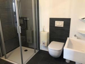 een badkamer met een douche, een toilet en een wastafel bij Ferienwohnung A.Engelhardt in Nordhausen