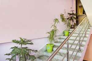 a staircase with potted plants on it at OYO Flagship Hotel Rainbow in Tezpur