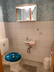 a bathroom with a toilet and a sink and a mirror at Schmidtler`s Nest in Warngau