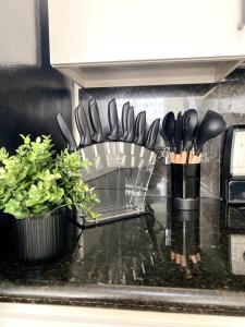 a kitchen counter with a rack of knives and plants at Luxurious Condo Walking Distance to San Diego Bay! in San Diego