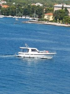 een witte boot in een grote hoeveelheid water bij Apartmani Čiklić in Dobropoljana