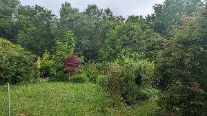 Zahrada ubytování 20 min nach Wien, Ruhig und Grün + 2 fotografie