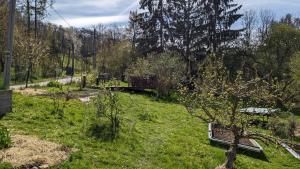 un jardín con un banco en el césped en 20 min nach Wien, Ruhig und Grün, en Klosterneuburg