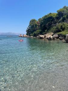 Φυσικό τοπίο κοντά σε αυτή η παραθεριστική κατοικία +33 φωτογραφίες