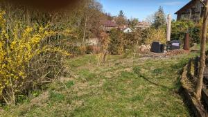 Zahrada ubytování 20 min nach Wien, Ruhig und Grün