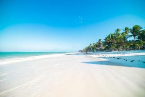 una playa de arena con palmeras y el océano en Mayai Ocean Resort, en Bwejuu