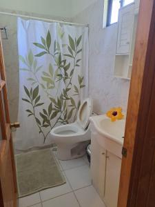 a bathroom with a shower curtain with a toilet and a sink at Hostal Avareipua in Hanga Roa