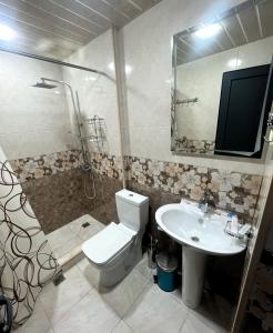 La salle de bains est pourvue de toilettes, d'un lavabo et d'un miroir. dans l'établissement ArtStar, à Sevan
