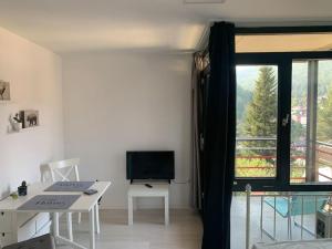 a room with a desk and a television and a window at Gemütliches Einzimmer-Apartment 33 in Bad Wildbad