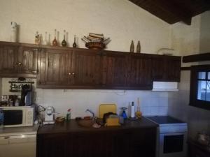 Kuhinja oz. manjša kuhinja v nastanitvi Villa Fanis