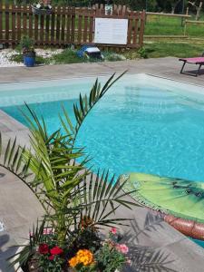 Ottonville et RicrangeにあるMaison Chez Mariebel - 20 pers avec piscine jacuzzi saunaの鉢植えのプール