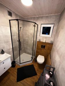 a bathroom with a glass shower and a toilet at Przystanek Krąg in Krąg