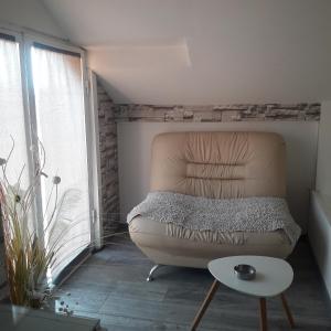 a bedroom with a couch in a room with a window at Apartmani Nis in Niš