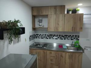 una cucina con lavello e fornello forno superiore di Loft precioso en San Mateo envigado a Envigado Altre 9 foto