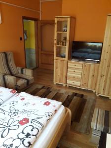 a living room with a tv and a bed at Kelemen Apartmanok in Abádszalók
