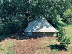 a tent in a field under a tree at Tente bivouac Option bain chauffée au bois in Idrac-Respailles +14 photos