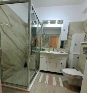 uma casa de banho com um chuveiro, um WC e um lavatório. em Imperium Residence em Sfîntu Ilie