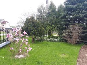 Gallery image of Domek letniskowy koło Krasnobrodu in Długi Kąt