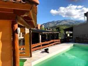 un gato sentado en un patio junto a una piscina en Cabañas Luján, en Potrero de los Funes