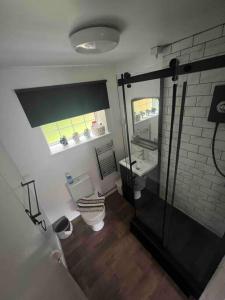 a bathroom with a toilet and a sink and a window at Hot Tub hideaway! New Forest in Cadnam