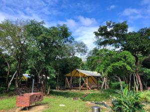 una tienda en un campo con árboles en el fondo en RAINBOW FOREST Permaculture filed - Vacation STAY 78984v, en Ibaruma