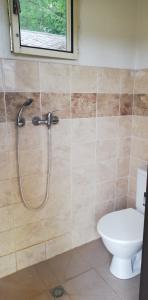 a bathroom with a shower and a toilet at Kemp a Loděnice Podolsko - Chatka pro 2 osoby 