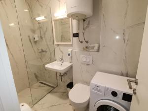 La salle de bains est pourvue de toilettes, d'un lavabo et d'une douche. dans l'établissement Dubrave apartmani, à Budva