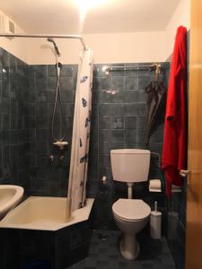 uma casa de banho com um WC, uma banheira e um lavatório. em La casa di Silvano em Cerreto Laghi