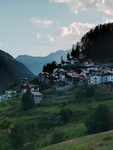 a group of houses on a hill in a field at Un balcone sulla Val di Pejo in Peio