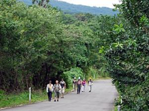 un grupo de personas caminando por un camino en Hotel Yamadaso - Vacation STAY 10193v, en Nago