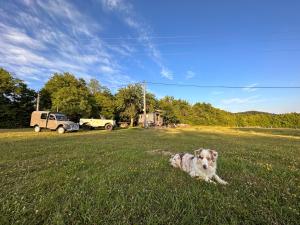 Fotografie z fotogalerie ubytování Ubytování Maringote v destinaci Doubravice