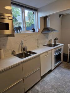 a kitchen with a sink and a stove at Eldaren in Tranås