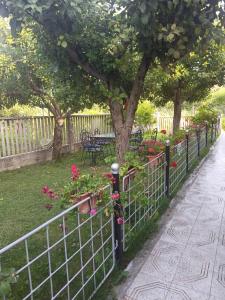 a fence with flowers and a tree in a yard at Kristina Mitllari 1 in Pogradec +4 photos