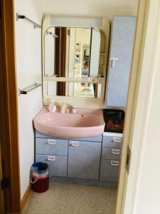 een badkamer met een roze wastafel en een spiegel bij Kamome Building 3F - Vacation STAY 50177v in Otaru