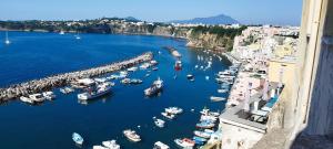 una vista aérea de un puerto con barcos en el agua en SoleMare Rooms "Smeraldo", en Procida