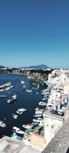 a group of boats are docked in a harbor at SoleMare Rooms "Smeraldo" in Procida