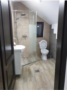 W łazience znajduje się prysznic, toaleta i umywalka. w obiekcie Casa Maria Moieciu de Sus w mieście Moieciu de Sus