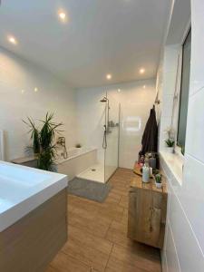 Modern Apartment near RedBull Circuit في زيلتويج: حمام مع دش ومغسلة وحوض استحمام