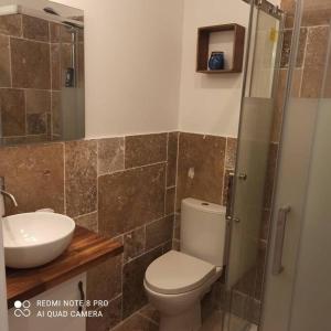 a bathroom with a toilet and a sink and a shower at Gîte de la Rivière in Clamecy