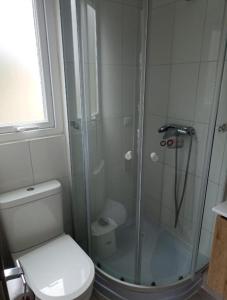 een badkamer met toilet en glazen douche bij Departamento en Pucón 202 in Pucón +11 foto's