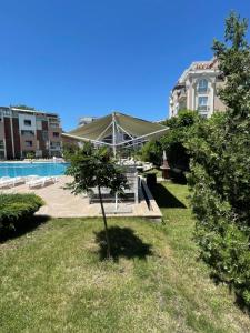 a small tree in the grass next to a pool at Sun City 1 - Family Apart Complex in Sunny Beach