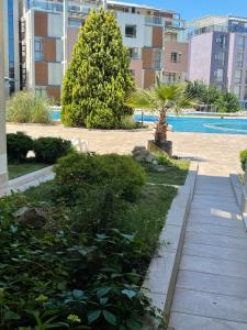 a walkway with a palm tree and a pool at Sun City 1 - Family Apart Complex in Sunny Beach